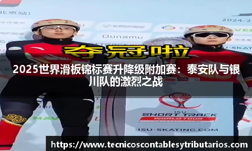 2025世界滑板锦标赛升降级附加赛：泰安队与银川队的激烈之战