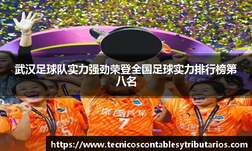 武汉足球队实力强劲荣登全国足球实力排行榜第八名